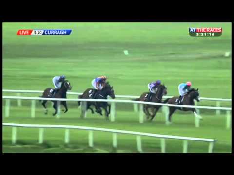 Tattersalls Gold Cup 2014