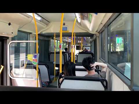 ACTION BUS 511 - Scania K360UA (Loud ZF Ecomat)