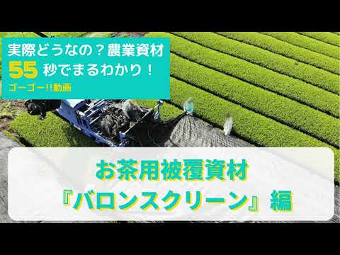 微生物がお茶の品質を向上させる