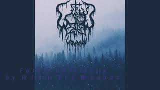 Download lagu Within Thy Wounds -  Forest of Iniquity mp3