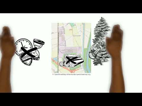 Lohwaldfakten #2 - Betroffene Fläche