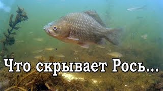 Ссылка