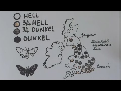 Transformierende Selektion – nichts bleibt wie es ist | lessonsathome