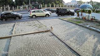 Live stream camera Baku City Jeyhun Salimov street 7 Metro station 8 November Canlı yayım live webcam