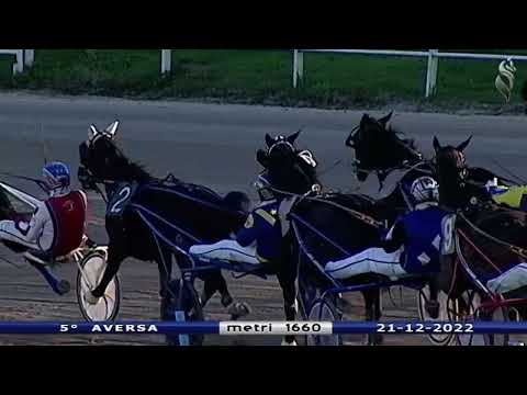 Aversa trotto 21 Dicembre 2022 - 5° Corsa
