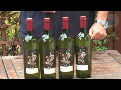 Przepis na wino białe, część 2