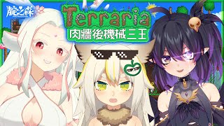 [Vtub] 鳥羽樂奈x尹鹿x伊索渡 靛競夜 Terraria