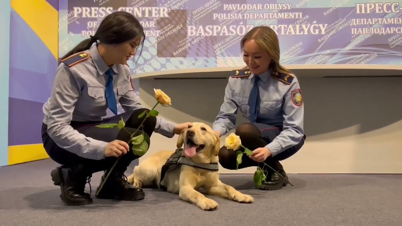 Четвероногий джентльмен одарил цветами павлодарок