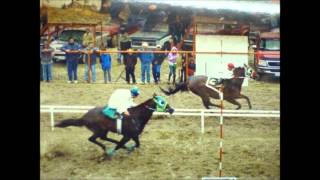 LABERINTO MIX GRANDES CABALLOS DE CHIHUAHUA