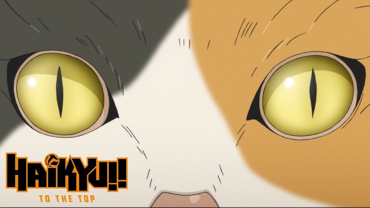 HAIKYU!! TO THE TOP - Ending 2 | One Day