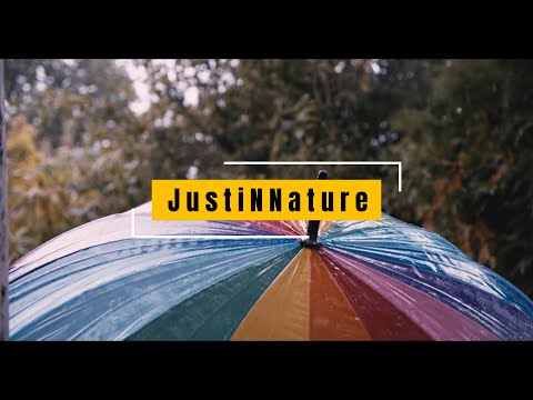 York - Sultan + Shepard - GRAZZE - Koelle - Nils Hoffmann ( JustiNNature Melodic House Set)