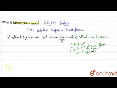What is microsphere model ?