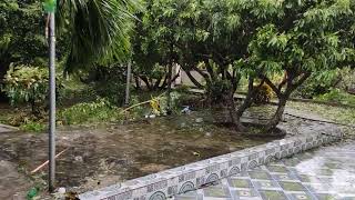 Yagi 4/4: Khoảng lặng khi gió đổi hướng sang tây-nam