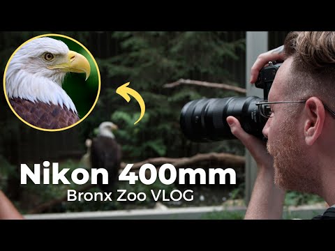 Adorama and Seth Miranda AKA Last Witness