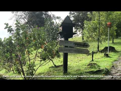ENFRENTA EL DOLOR DESDE SU PERSPECTIVA