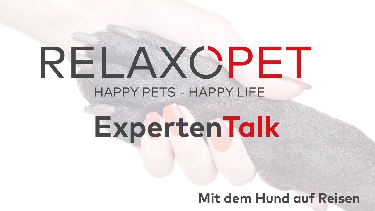 Expert Talk No. 2 - Traveling with your dog
