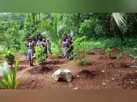 Nature walk: Activity by eco club members