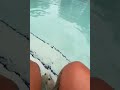 BBW Mocha Shows Toes