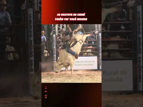 Rodeio 2025 . Festa do peão de Inubia Paulista,  Interior de São Paulo.