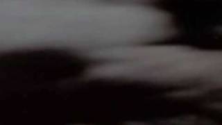 Samuele Bersani - Crazy Boy