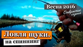 Где лучше ловить щуку весной в ленинградской области