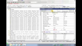 Enhanced Allscripts EHR Worklist View