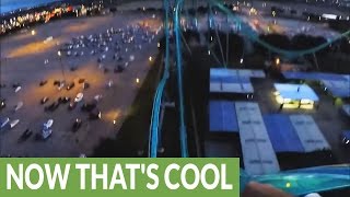 faze tari roller coaster