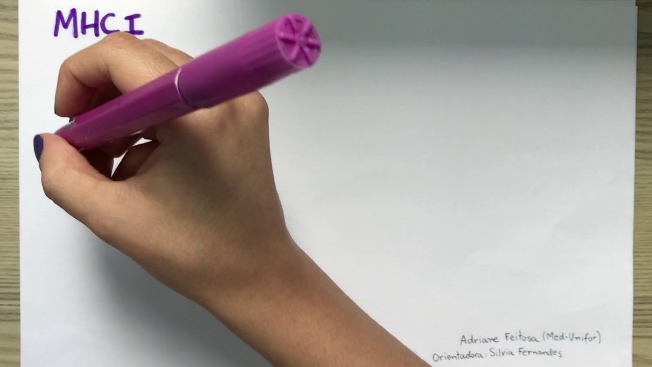 MHC- complexo principal de histocompatibilidade (MHC) (parte 1)