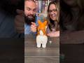 A Board Game That Poos?! Come Play Doggy Doo With Us! #boardgames #gamenight #couple #fun