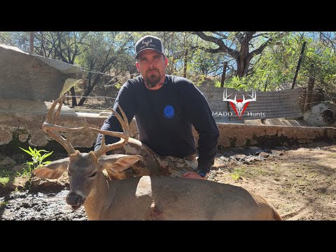 Coues Deer Hunts