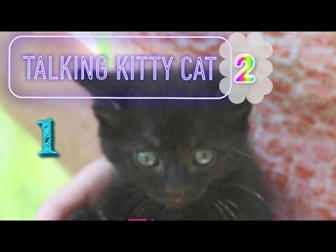 Talking Kitty Cat 2 #1 Time to wake up and Say hi to the kitty 🌸