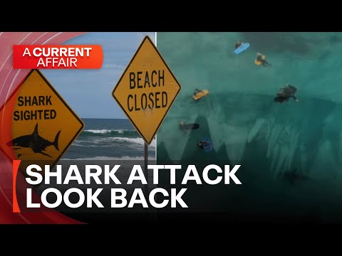 Shark Country: Dark side of Australia’s beach obsession | A Current Affair