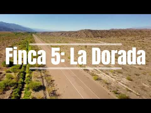 5 FINCAS EN CALINGASTA SAN JUAN A LA VENTA