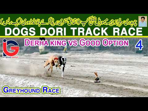 Dori Track Race || Ch. Sarfaraz (M) Challenge Cup 2026 || 4 Round || 10-02-26 #dog #viral #fyp