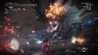 モンスターハンターワールド：アイスボーン_20240726050139