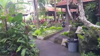 Download lagu Bebek Bengil Ubud mp3