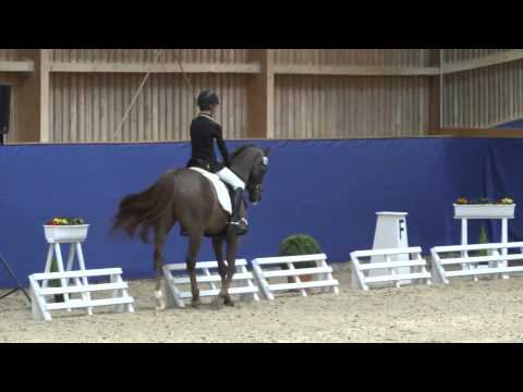 Moritz Treffinger -  No Limit 24 - www.equideo.tv