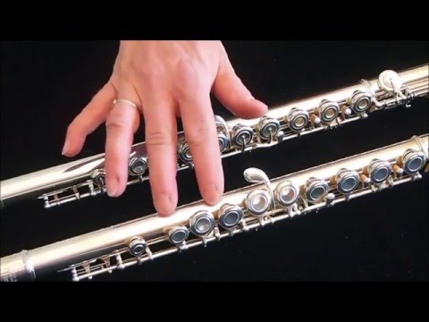 Buying a Used Student Flute - Gina's Flutes