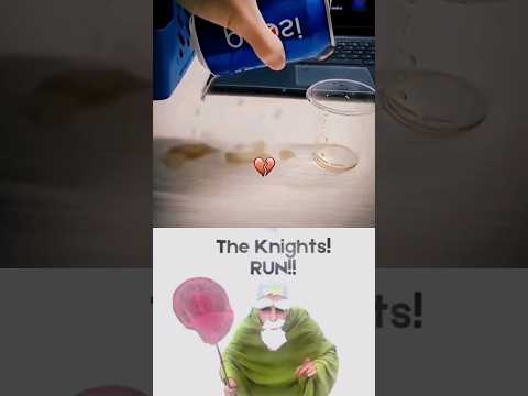 Bombastic warrior Gnome reacts #funny #meme #memes #foryou #gnomes #viral #viralvideo  #fyp