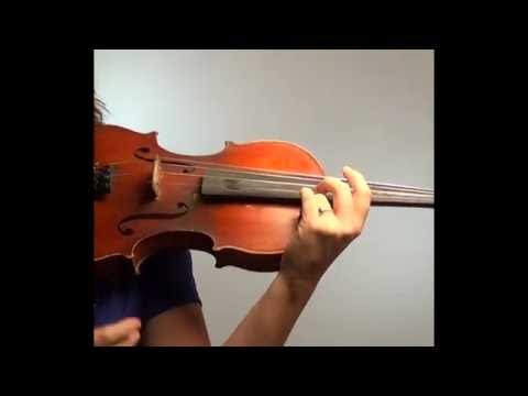 How to learn vibrato for violin and viola (Wendy Devaney, Orchestra Tutor)