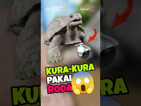 KURA-KURA INI memakai roda 3D di kakinya 😱 #shorts