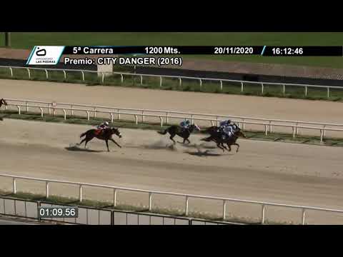 201120 c05 - ALCATEETH - HIPODROMO LAS PIEDRAS