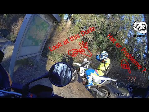 HUND WILL MEIN BIKE und EPIC FAIL + Artikel 13🤢