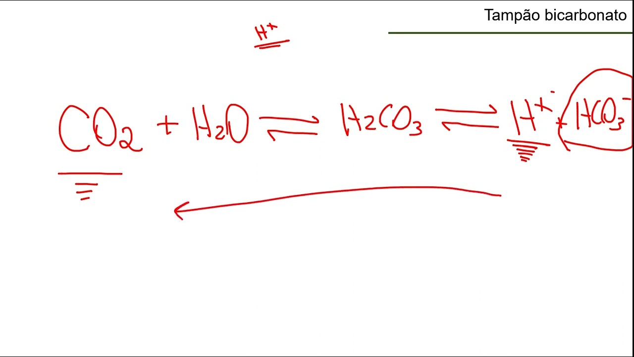 Tampão Bicarbonato em 5 minutos