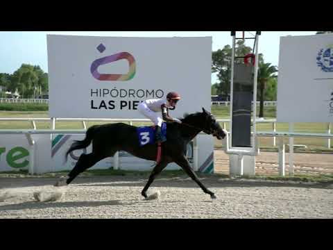 211230 c06 - GRAND LOUIS - HIPODROMO LAS PIEDRAS