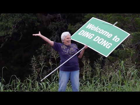 download lagu mp3 mp4 Ding Dong Texas, download lagu Ding Dong Texas gratis, unduh video klip Ding Dong Texas