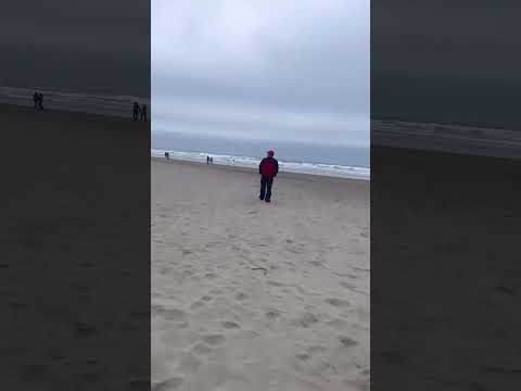 #vacation#nature#photography#travel#youtube#soumitrasdiary#beach#sea#vlog#yt#viral