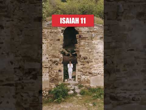 ISAIAH 11 -ROOT OF JESSE (LIFE CHANGING INFORMATION !!)