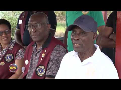 Description or Alt Text