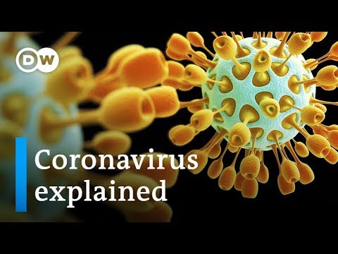 コロナウイルスを解説。どこから来たのか、どうやって止めるのか｜DWニュース (Coronavirus explained: Where it came from and how to stop it | DW News)